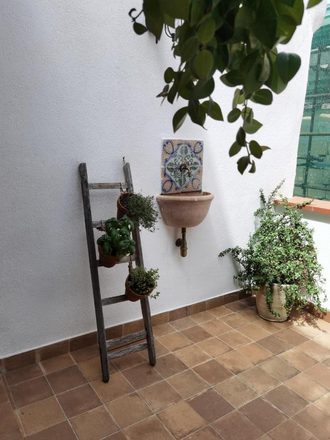 Il Terrazzino Sul Kemonia Leilighet Palermo Eksteriør bilde