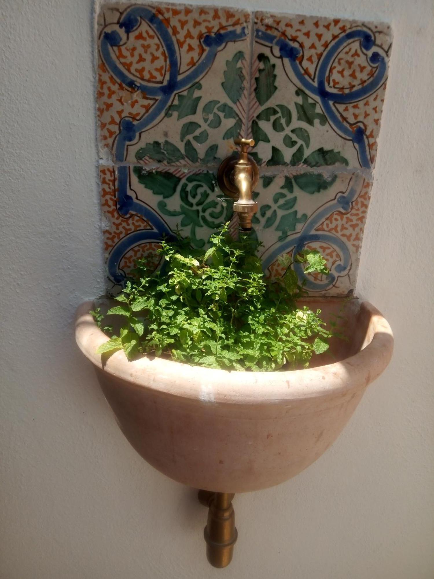 Il Terrazzino Sul Kemonia Leilighet Palermo Eksteriør bilde