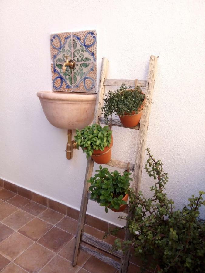 Il Terrazzino Sul Kemonia Leilighet Palermo Eksteriør bilde